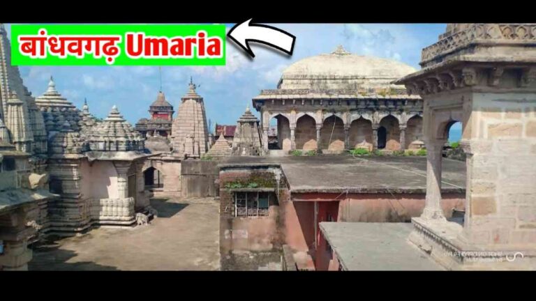 Umaria GK History & Famous For उमरिया पर्यटक