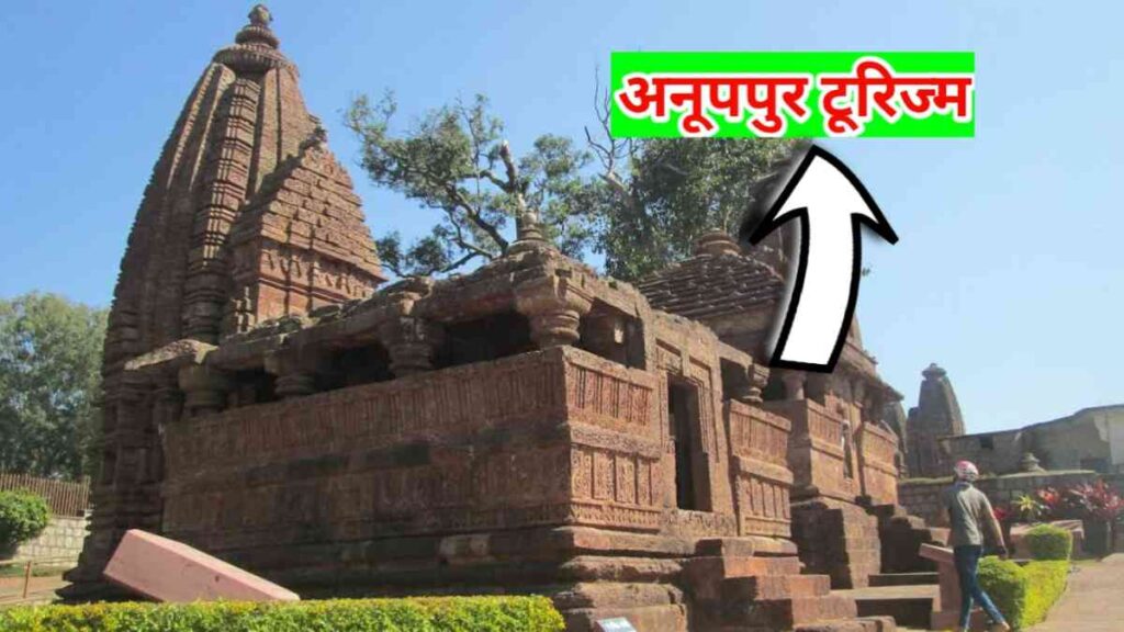anuppur gk history in hindi